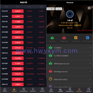 双语言微交易系统/微盘外汇/投资理财源码/虚拟币充值-海外优选源码
