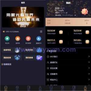 IPFS算力矿机/usdt排单众筹系统/usdt理财分红系统-海外优选源码